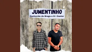 Jumentinho