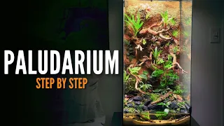 How to build a Paludarium (Vivarium)