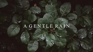 A Gentle Rain - Beautiful Piano Song with Relaxing Sound of Rain  ♫｜BigRicePiano