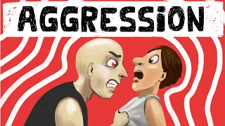 Theories of Aggression in Social Psychology