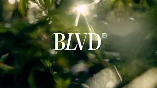 Introduction to BLVD - Now Selling!