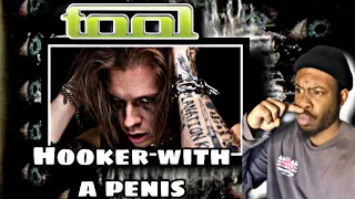 Tool - Hooker With a Penis (TOOL JOURNEY 5)