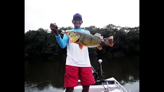 Fishing the Amazon - Norm Scott