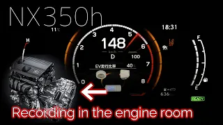 【Engine room sound】New NX350h  acceleration test. 【ASMR】Japan specification