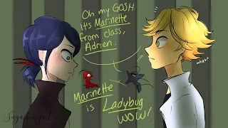 LADYBUG IS STRESSING? (Miraculous Ladybug Comic Dubs Animations)