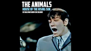 THE ANIMALS - HOUSE OF THE RISING SUN (Ed Sullivan show, IN COLOUR)