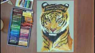 Как нарисовать тигра (тигренка)/How to draw a tiger (tiger cub)/如何画一只老虎（虎崽