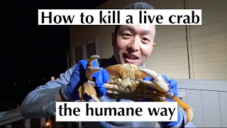 How to kill a live crab humanely