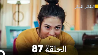 مسلسل الطائر المبكر الحلقة 87 (Arabic Dubbed)