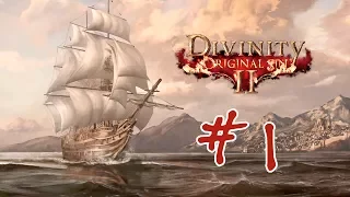 Divinity: Original Sin 2 | #1 Начинаем приключения!