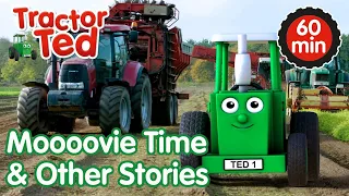 Moooovie Time & Other Tractor Ted Stories 🚜 | Tractor Ted Compilation | Tractor Ted Official