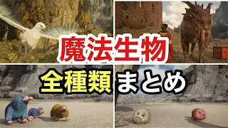 【ホグワーツレガシー】魔法生物　全種類まとめ　【ハリーポッター】