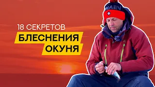 18 СЕКРЕТОВ ловли ОКУНЯ на БЛЕСНУ