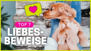 7 Arten, wie dir dein Hund zeigt, dass er dich liebt!