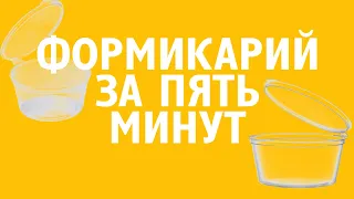 #КРАФТИМ  КАК СДЕЛАТЬ МУРАВЬИНУЮ ФЕРМУ ЗА 5 МИНУТ ! ДЁШЕВО|БЫСТРО|ЛЕГКО!