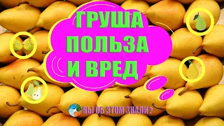 Груша — польза и вред