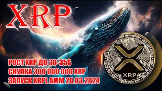 RIPPLE XRP СКУПАЮТ! AMM ОДОБРЕН И ЗАПУСТЯТ 20 МАРТА 2024 ГОДА! ЦЕНА XRP МОЖЕТ ДОЙТИ ДО 30-35$ В 2024