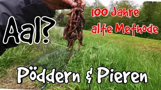 Pöddern & Pieren Aal angeln wie vor 100 Jahren unsere Urgroßväter | Aale Tag und Nacht S5 F9 #aal
