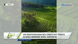 GMA Regional TV Live: Cambuyo Rice Terraces Sa Bohol