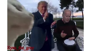 Trump & Biden Vibing To Ievan Polkka 1 Hour Long Loop