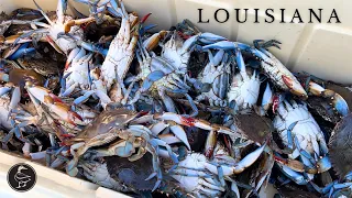 I Caught DOZENS of Blue Crabs from a Public Pier Using This EASY Method!