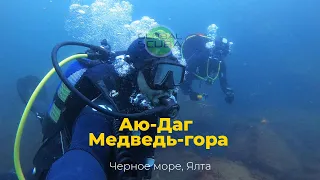 Дайвинг в Ялте | Аю-Даг или погружение под Медведь-гору