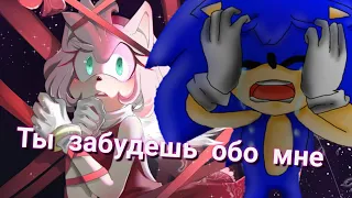 Соник и Эми//Ты забудешь обо мне(Заказ Эми The Hedgehog)