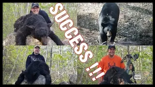 Spring bear hunt with BearTrack Outfitters