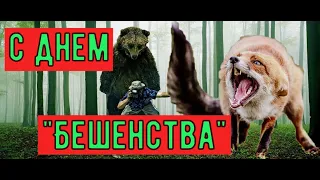 С ДНЕМ " БЕШЕНСТВА"