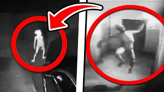 15 Strange Creatures Caught on Camera