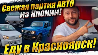 Новые поступления авто из Японии❗ПОСТАВКИ РАСТУТ❗ESTIMA❗JIMNY ❗PRADO❗CRV❗