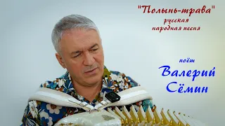 Песня под баян от ВАЛЕРИЯ СЁМИНА ❤️ "ПОЛЫНЬ-ТРАВА". Душевно и красиво ❤️