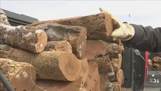 Cold weather, fear of power outages causes firewood shortage