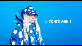 Tones And I - Bad Child (DiPap Remix Radio Edit)