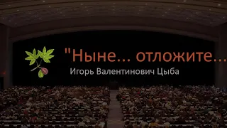 И.В. Цыба. Проповедь на тему: "Отложите..."