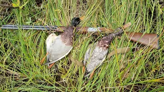 Обзор на ружьё cz mallard 20/76. #shotgun #hunting #cz #czmallard #rifle #gun #gunforhunting #hunt