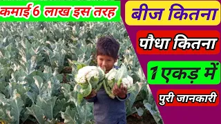 Gobhi ki kheti | गोभी के एक एकड़ खेत में कितना बीज कितना पौधा और कितना कमाई कर सकते है पुरी जानकारी