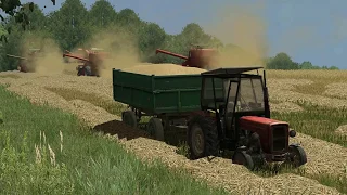 Żniwa w RSP - Boćkowo - Farming Simulator 13 - BIZONY W POLU