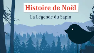 Histoire De Noël : La Légende du Sapin (dessin animé en Français)