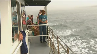 Watching for whales off the San Diego coast