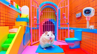 Epic Hamster Maze Escape: Dodging Explosives and Guards 🐹 Hamster Maze