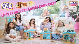 Little Live Pets Mama Surprise featuring real guinea pigs!​