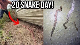 Amazing Fall Snake Hunting in South Carolina! Vipers Everywhere!