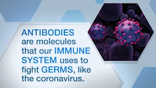 Monoclonal Antibodies: A Potential Treatment for #COVID19