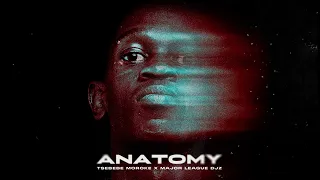 Tsebebe x Major League Djz Anatomy (Official Audio)