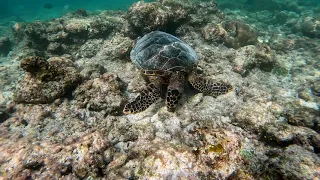 Oblu Nature Helengeli - Maldives 2022