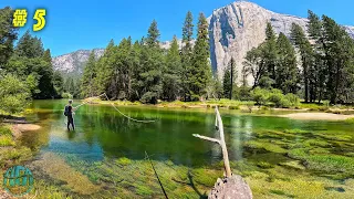 Fly Fishing the ICONIC Yosemite National Park || California Gold Pt 6