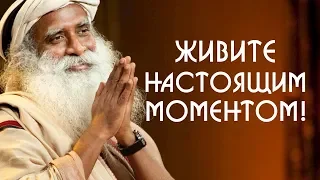 Как перестать жить прошлым и начать жить в этом моменте — Садхгуру