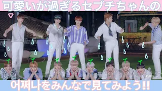 어쩌나 (Oh My!) Part Switch Ver. はこんなに可愛い 【SEVENTEEN/세븐틴/セブチ】