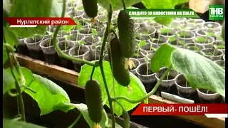 Секретами богатого урожая поделились предприниматели Нурлатского района | ТНВ